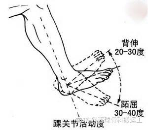 还以为崴脚了没事?---骨科医生教你应对踝关节扭伤
