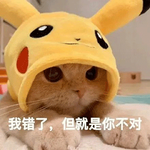 超级可爱的表情包我错了但就是你不对