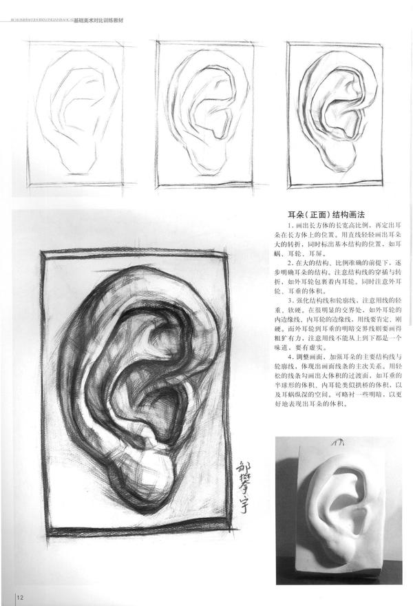 素描五官画法之耳朵怎么画及绘画方法