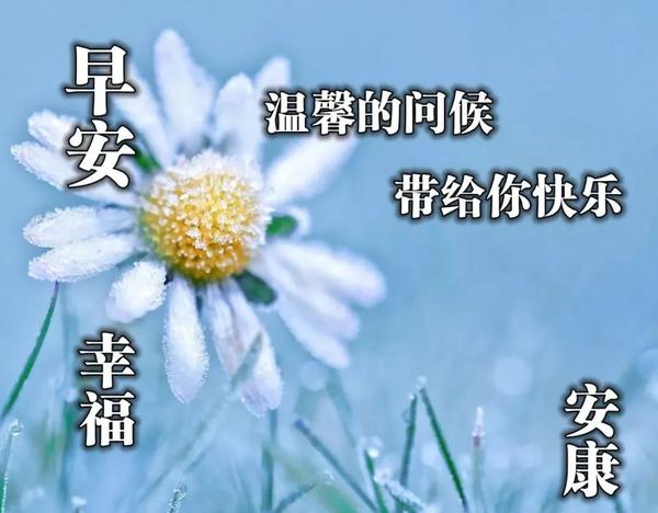 11张夏天特好看的日出早安图片带字,最新清晨早上好温馨问候语免打字