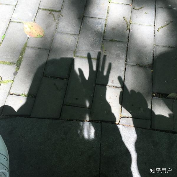 和男票在某公园里晒太阳,风和日丽,阳光明媚 "来,狗子,咱来拍个影子"