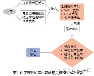 恶心呕吐的国内治疗指南