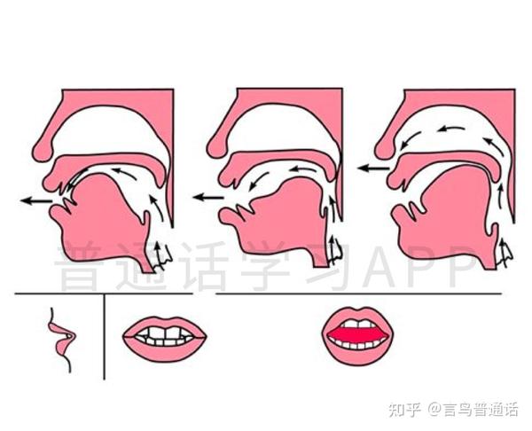 后鼻音ianɡ的发音舌位图