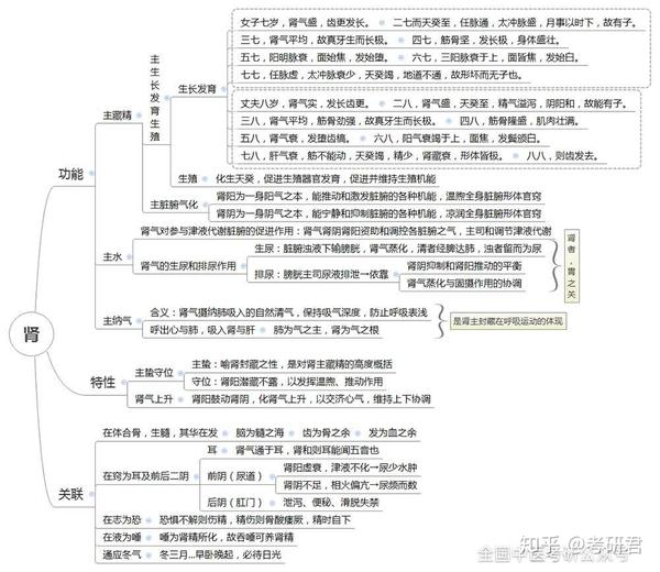 【中医考研】20张超全思维导图,让你吃透脏腑知识重难