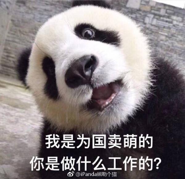 这个天真的眼神太可爱了