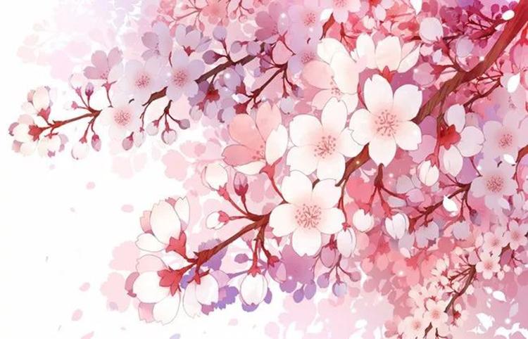 【绘画教程】教你画出一组雅致清新的樱花教程,让你的