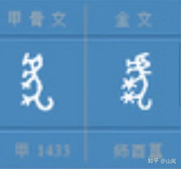 纠错甲骨文,金文"虎"字!