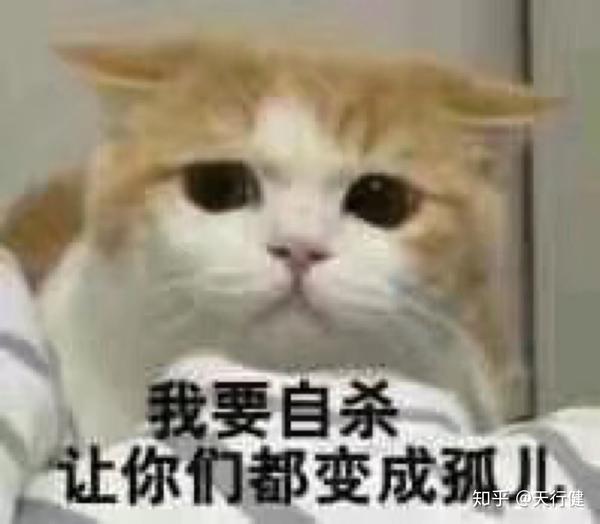 能分享几张让我笑到喷屎的表情包吗.