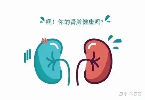 慢性肾功能衰竭你知道吗 知乎