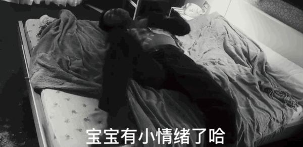 电影《春光乍泄》gif动图,表情包