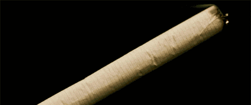 世界无烟日丨吸烟的危害超出你的想象