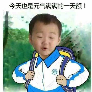 有没有各种今天又是元气满满的一天表情包,比如这样的