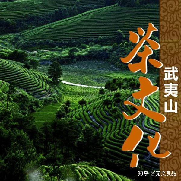 09《武夷山茶文化》