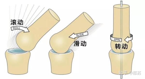 缓慢匀速完成动作,保持30~60秒,双脚交替完成3组*髋关节深层的弹响