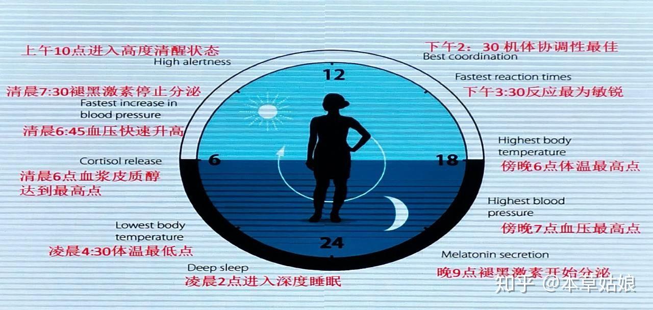 怎么改变昼夜颠倒的生物钟