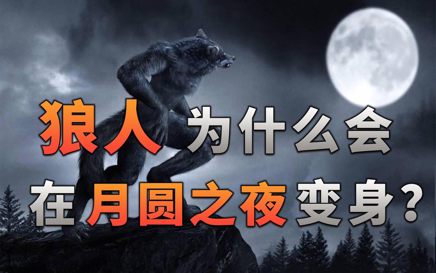 不止游戏狼人为什么会在月圆之夜变身