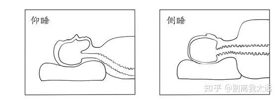 如何正确使用枕头 其实枕头并不是用来枕头部的,而是用来脖子的,可以