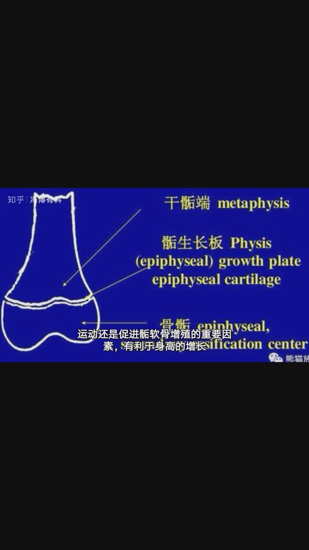 想长高不能只知道骺软骨闭合,骨龄才是预测身高的最佳