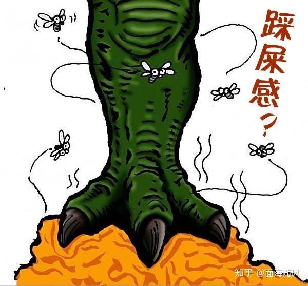 跑鞋中神秘的"踩屎感"