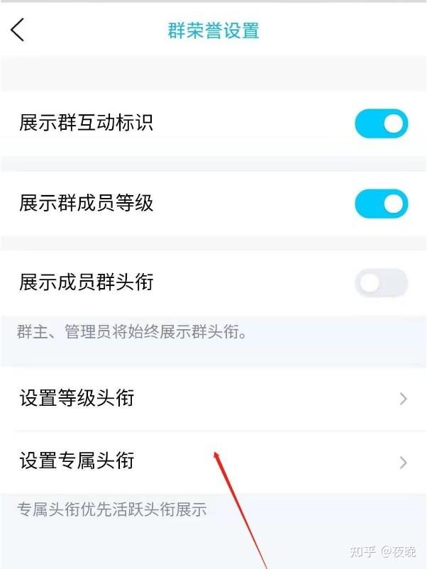 qq群等级头衔名称大全可爱(qq群头衔怎么显示)