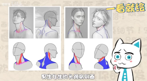 动漫人物头部脖子肩膀怎么画【详细教程】