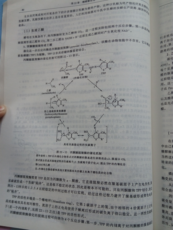 里面的甘油醛3磷酸是葡萄糖到丙酮酸的中间产物,而它需要nad 来受h