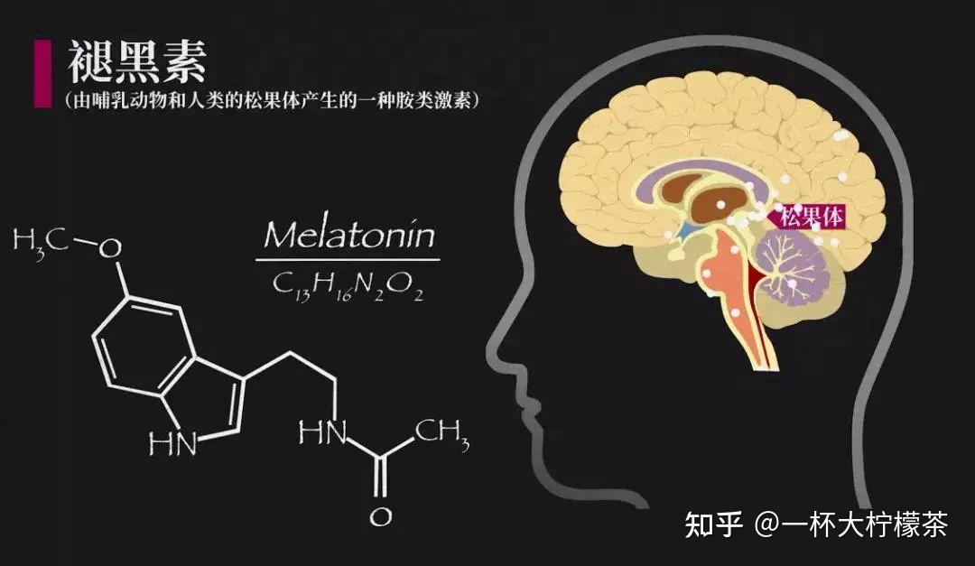 他们根本的不同就在于,褪黑素本身就能由人体自然分泌产出,是由大脑