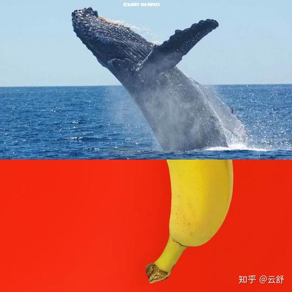 有没有合适制作班旗的唯美的鲲或者鲸鱼的壁纸?