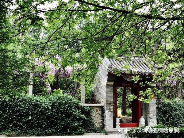 摄于北京大学静园,我最喜欢的校园一角之一
