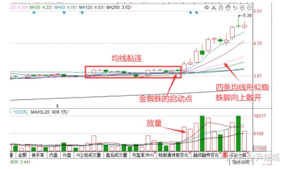 给大家举个例子,感受一下"金蜘蛛"形态!明显放大,后市上涨力度更强.