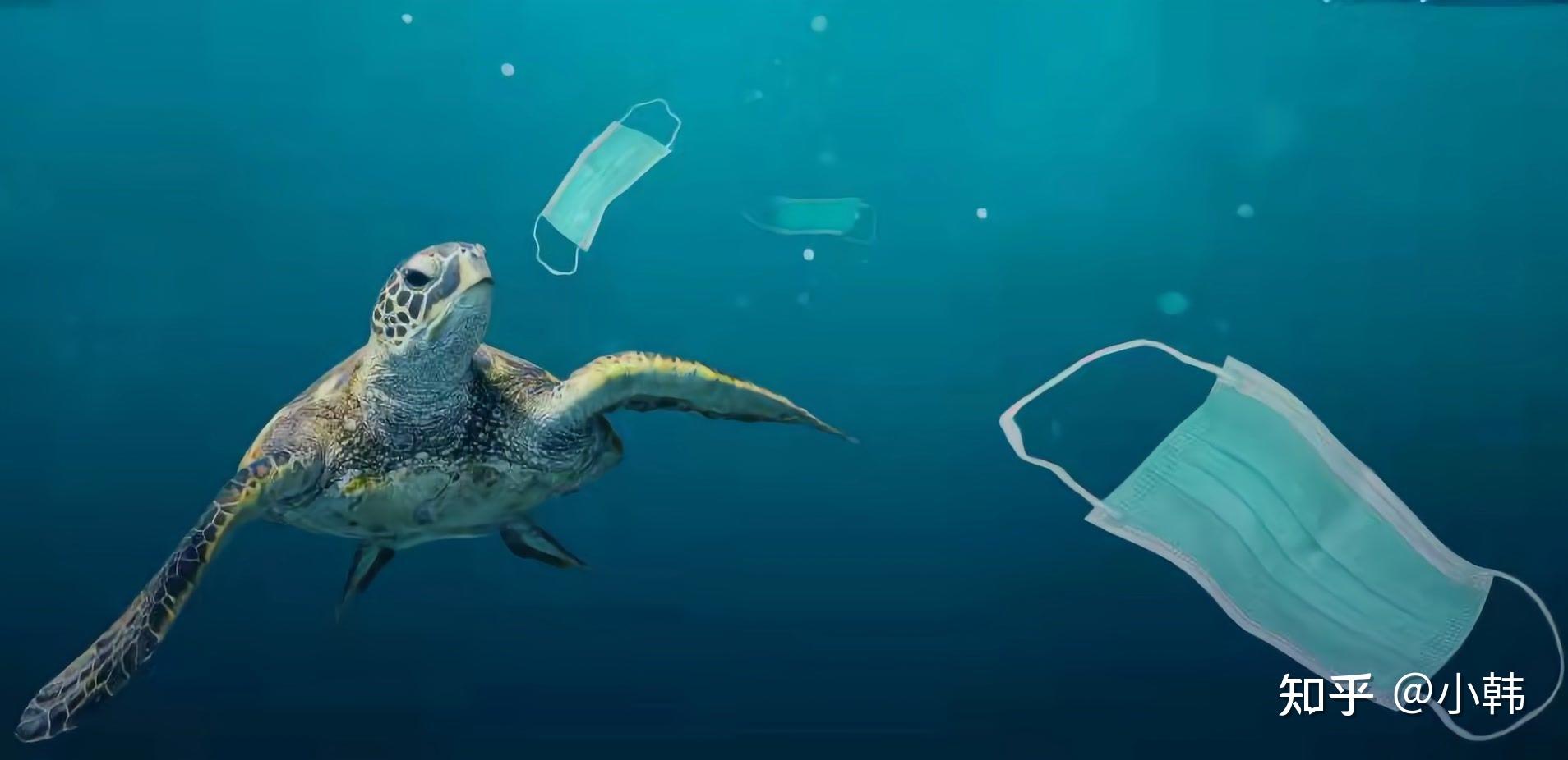 人类丢弃的大量口罩流入海洋并严重污染海洋请垃圾分类回收