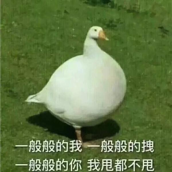 有没有很土或者特别的微信头像和签名看到第一眼就不想加的那种?