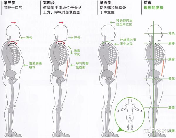 深度什么是脊柱中立位你真的了解吗