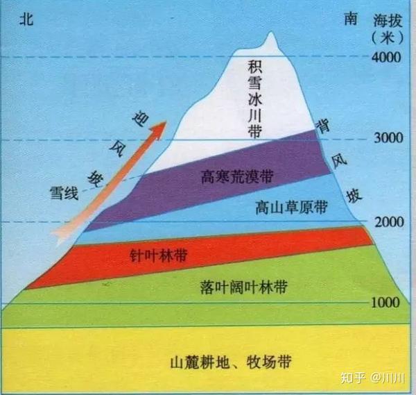 植被垂直带谱水与热之间的较量