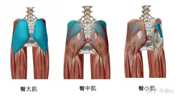 3个瑜伽体式教你逆袭扁平凹练出蜜桃臀