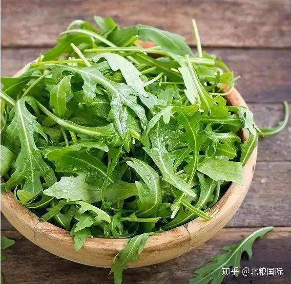 芝麻菜——从野菜到网红食材的变身