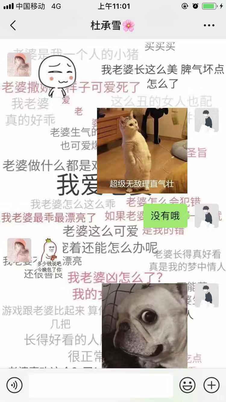 才交的cp把我们的聊天壁纸用的爱老婆宠老婆之类的,他