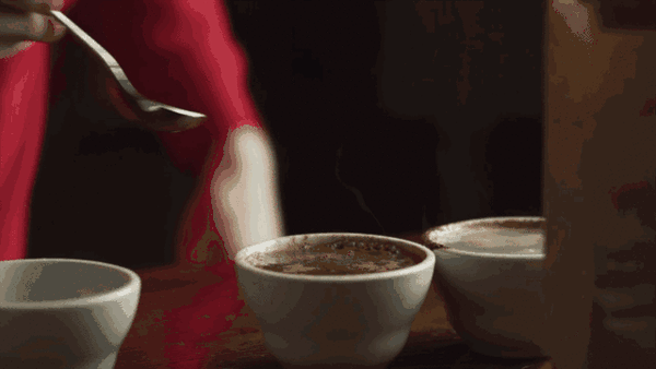 dirtycoffee交流中心咖啡培训2017年5月课程