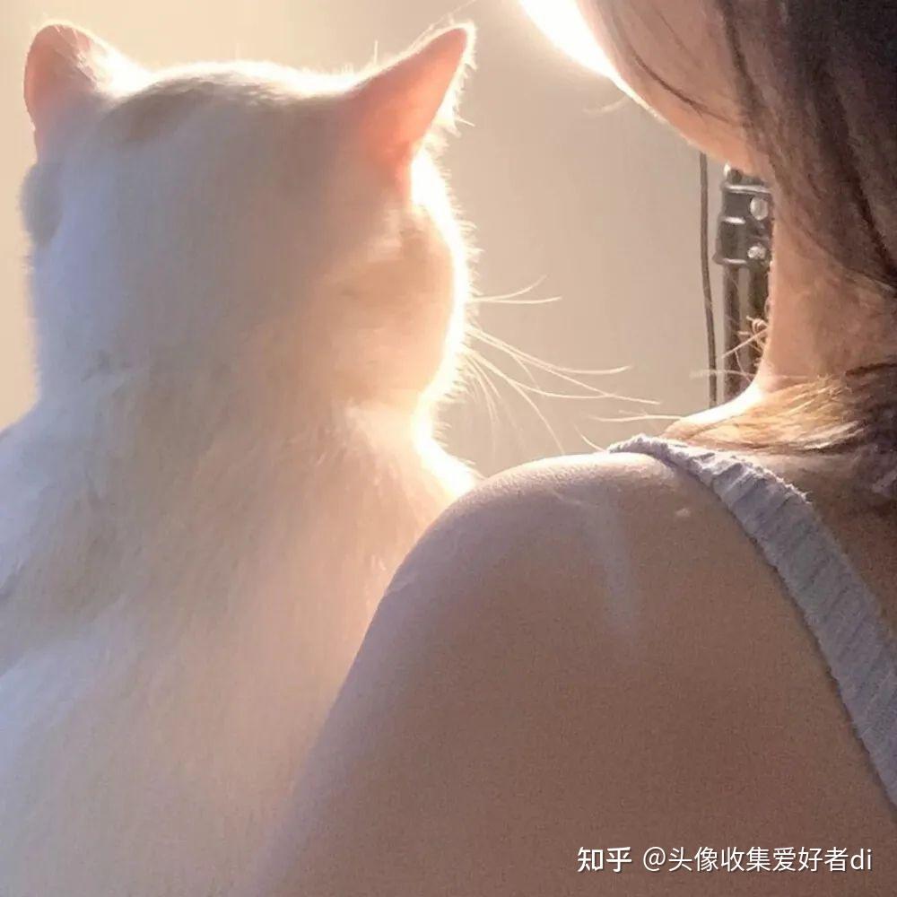 抱猫女头爱笑的女生气质清冷的女头