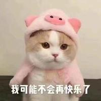  6、重庆柚子苗：柚子猫七是什么意思？ 