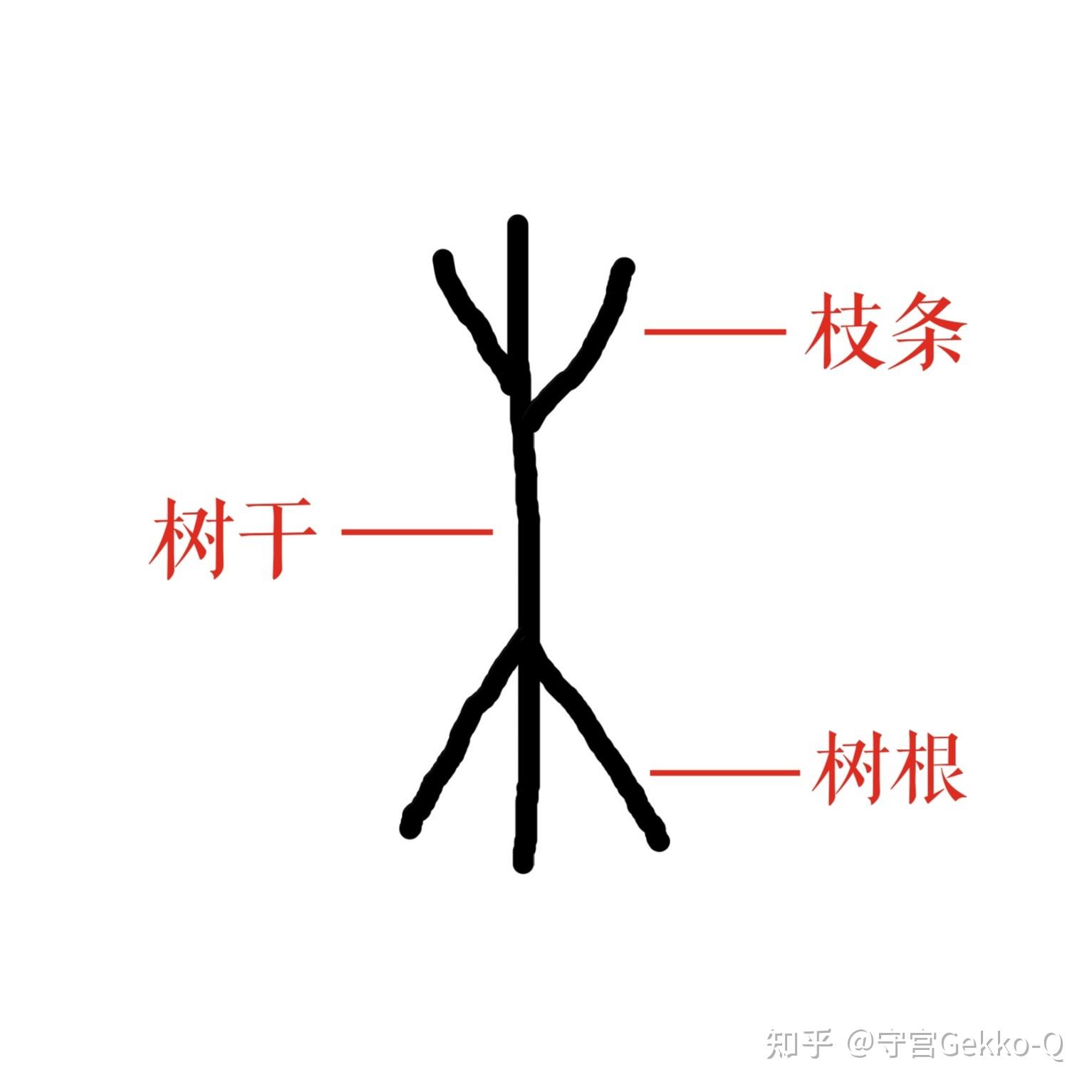 木,从甲骨文来看,算是一个典型的象形字:中间一竖代表树干,上面的分叉