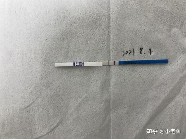今天,2021年8月4日夜晚,一根突如其来的双杠验孕棒,惊吓到了我.
