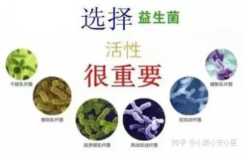 现代人为啥要补充益生菌?别急着说你不需要!