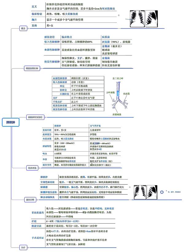 26张呼吸系统全套执业医师/考研思维导图笔记(可下载打印)