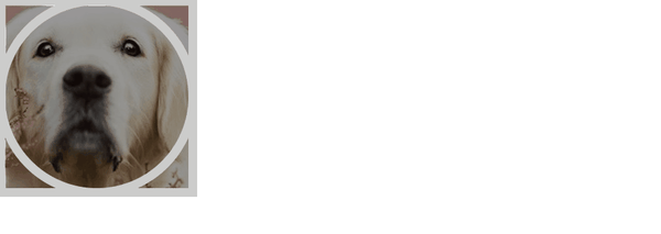 0;padding:0;}div{width:200px;height:200px;border:10pxsolid#ccc