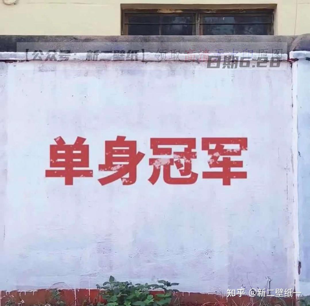 好好鬼混不谈恋爱图片抖音热门朋友圈封面文案背景微信