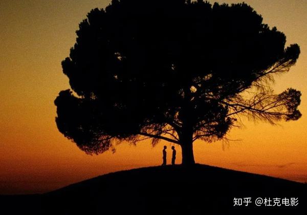 犯罪的亚当和夏娃成全了彼此的爱恋和依赖,他们为爱而生,亦为爱而死