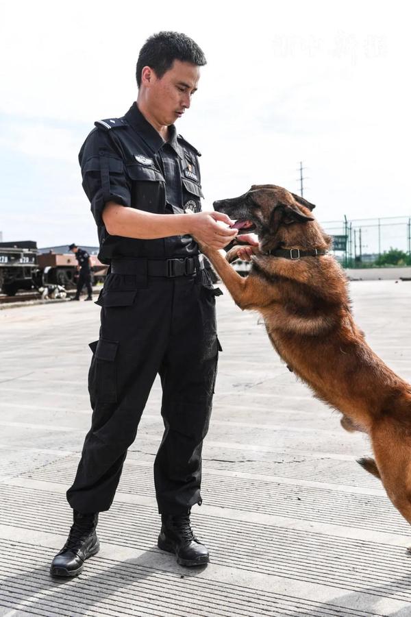 【寻找最美义警】刘智松:为热爱拼搏的"警犬队长"