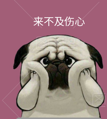 成年人的世界谁不是一边崩溃,一边自愈啊!