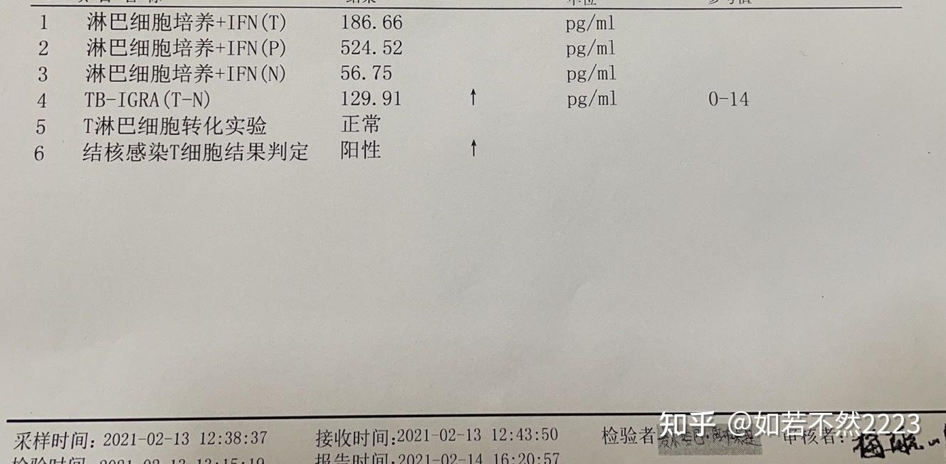 13号,我又做了t-spot 还有气管镜,本来没有打算做的,医生各种逼我,说